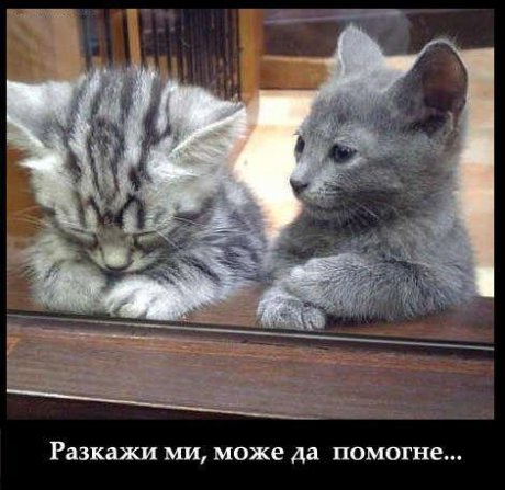Сподели си мъките
