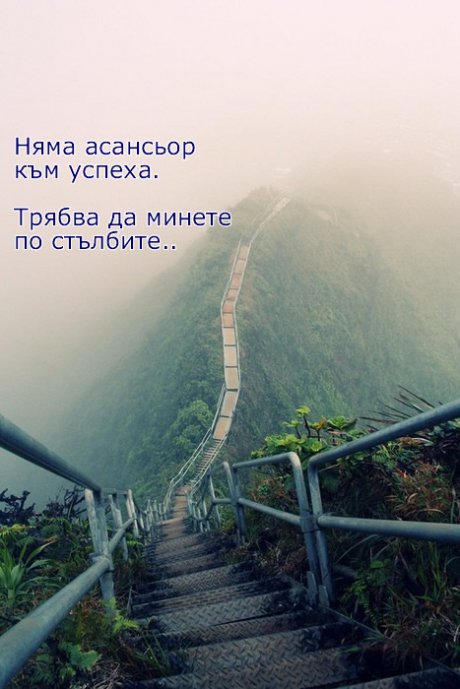 Пътят към успеха