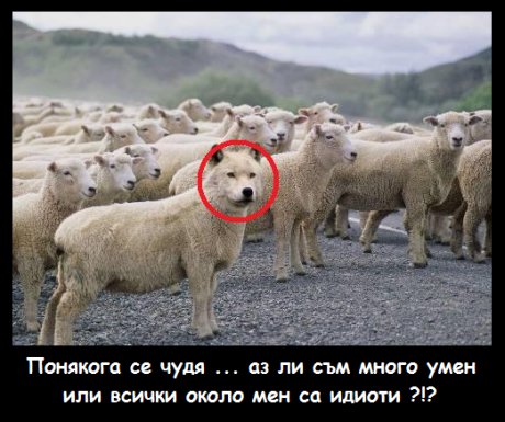 Яйцето или кокошката?