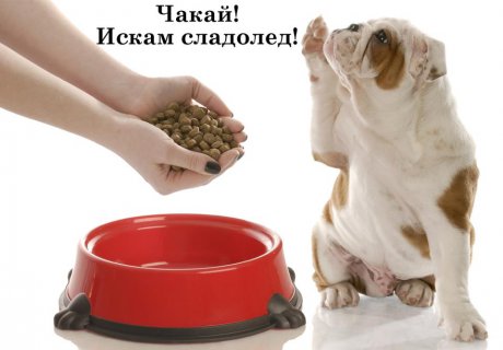 Чакай ! Искам сладолед !