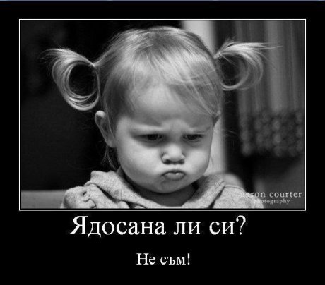 Всичко е наред