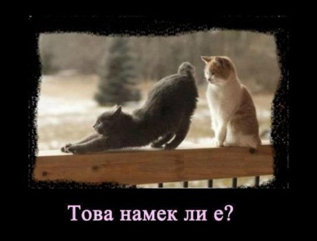 Чист намек