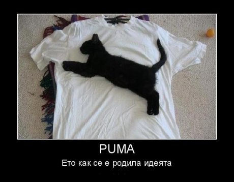 Ето как се е родила идеята