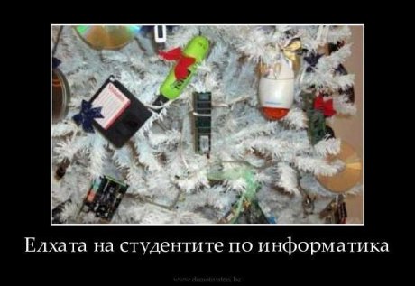 Студентска елха