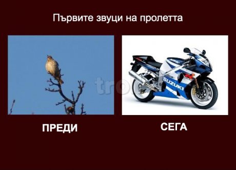 Първите звуци на Пролетта