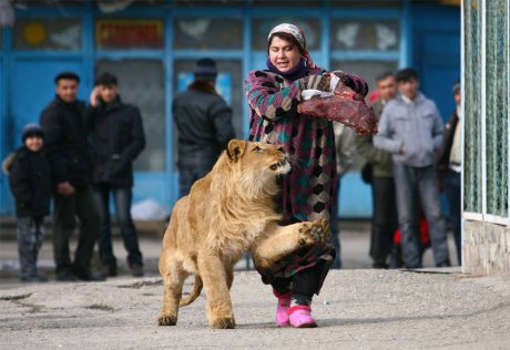 Дай ми да хапна, моля те!