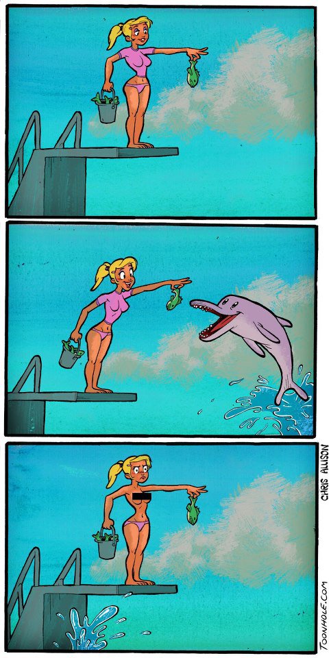 Трол делфин