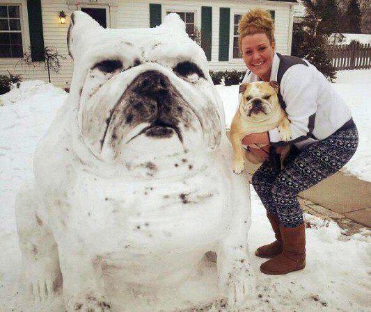 Снежно Куче !