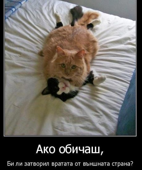 Махни се това не те засяга