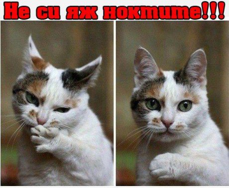 Добре мамо