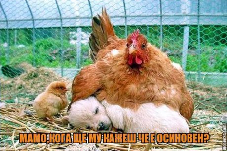 Ощу не е готов