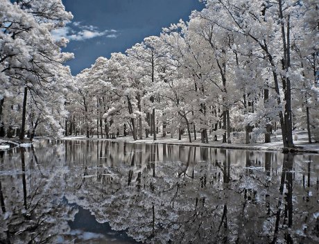 Потвърдено зима е
