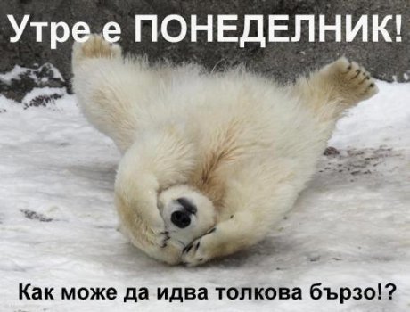 Всички обичат Понеделник