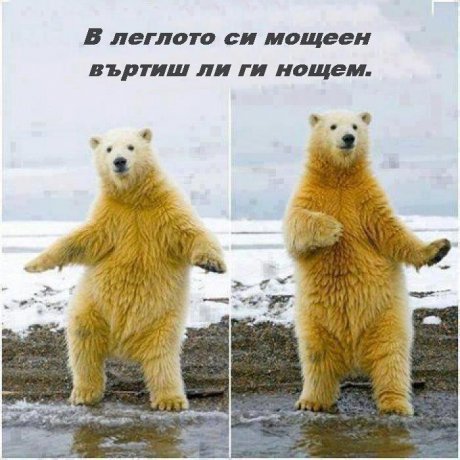Дай! Мечо дай!