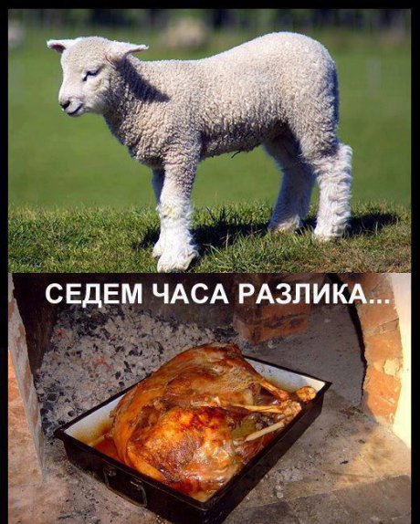 Седем часа разлика