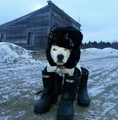 Клинч