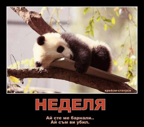 Неделя съм почивка