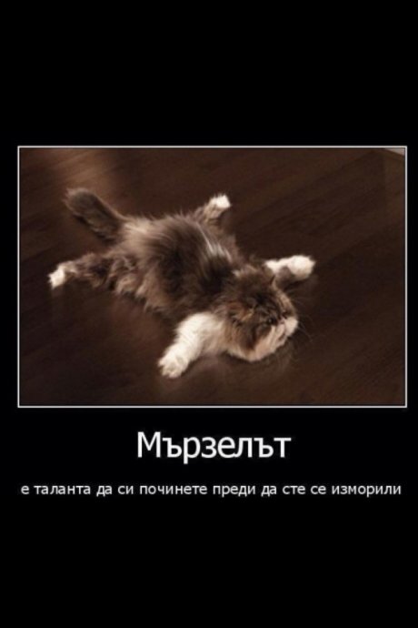 Мързелът :DD