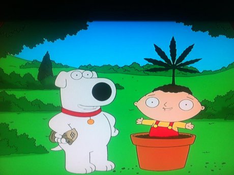 Междувременно в Family Guy