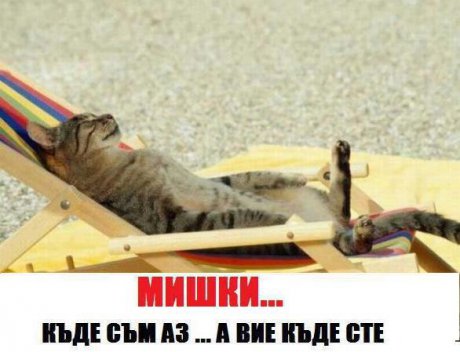 Мишкиии