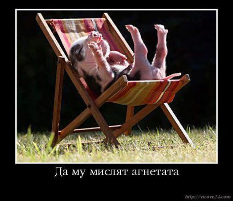 До коледа не ме търсете!