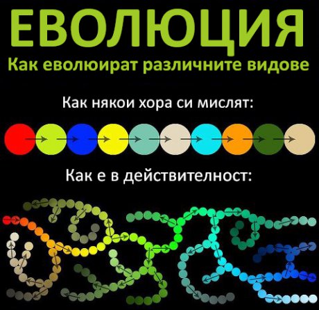 Еволюцията обяснена по най-лесния начин
