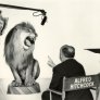 Заснемането на лъва на MGM