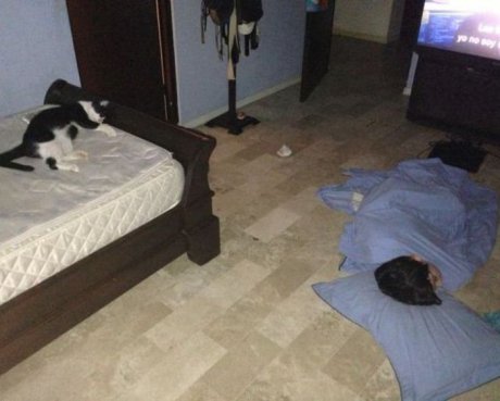 Коткешка му работа