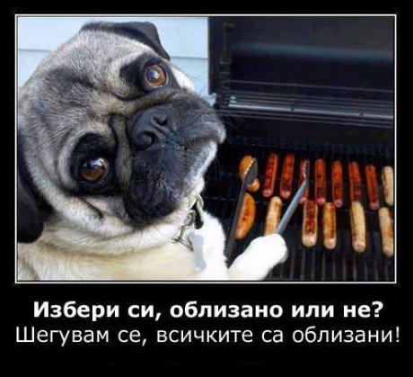 Облизано или не?