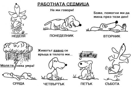 Работната седмица