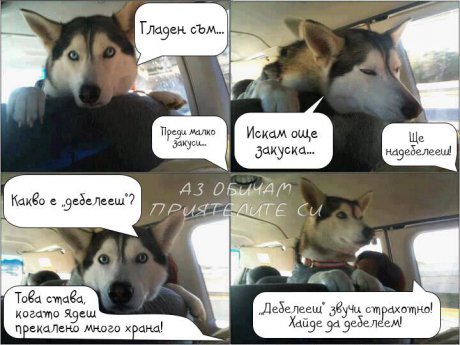 Хайде да дебелеем