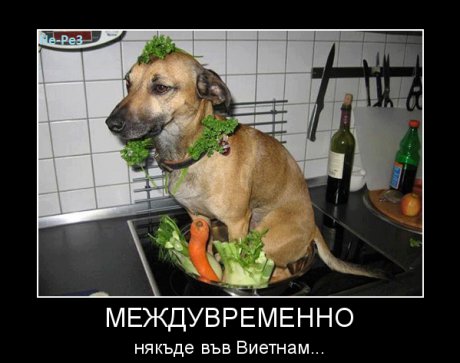 Някъде из Виетнам