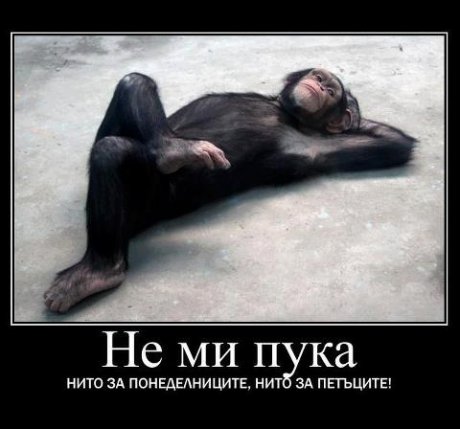 Да не ти дреме
