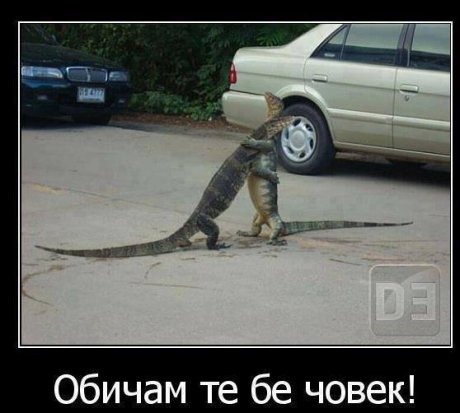 Обичам те бе човек 