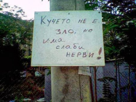 Кучето не е зло