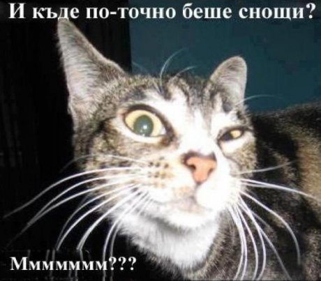 И каде беше снощи ?