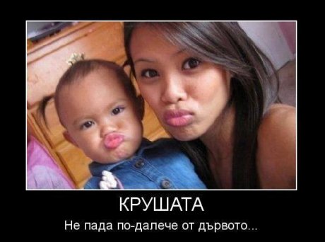 Каквато майката, такава и дъщерята