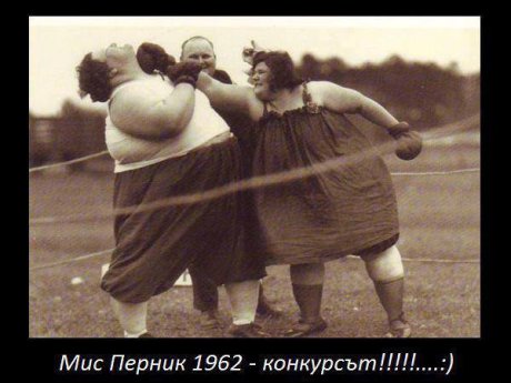 Мис Перник 1962