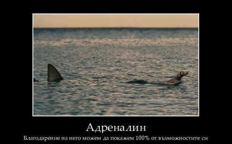 Адреналин