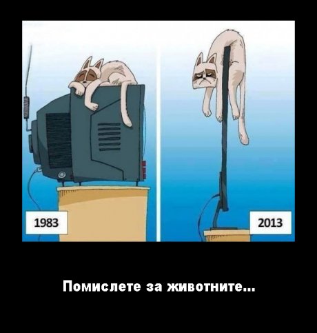 Помислете за животните...