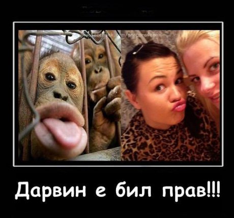 Лика прилика са