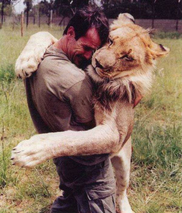 Лъвска прегръдка!