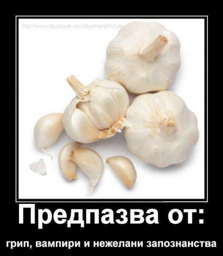Чесън