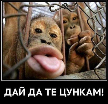Дай една целувка!