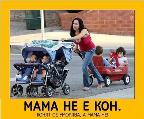 Мама не е кон