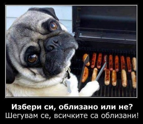 Избери си