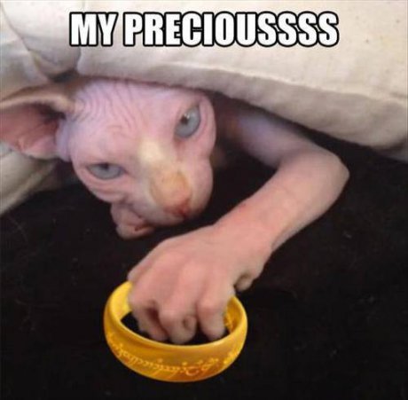 My precious!