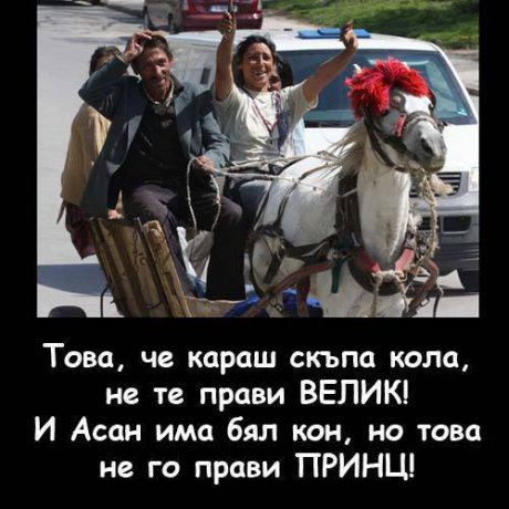 Асан на бял кон