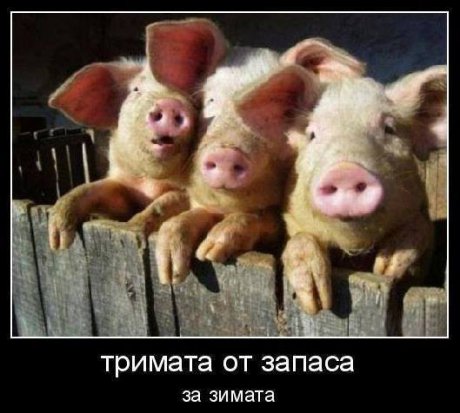 Запаса за зимата