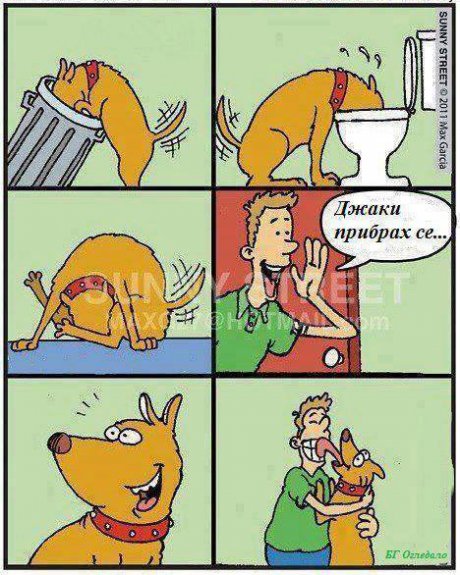 Така е с всички кучета